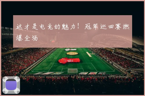 这才是电竞的魅力！冠军巡回赛燃爆全场